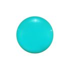 Disk UltiPro Blank turquoise