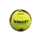 Halová futbalová lopta WINART Insider